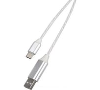 Дата-кабель Red Line LED USB - TYPE-C, белый УТ000022103