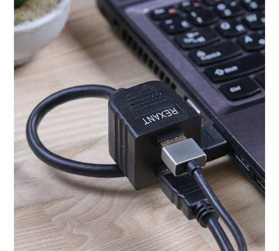 Разветвитель REXANT штекер HDMI - 2 гнезда HDMI с проводом, черный 17-6832