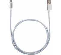 Кабель ENERGY ET-29-2 USB/MicroUSB, цвет - серебро 104111