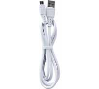 Кабель ENERGY ET-31-2 USB/MicroUSB, цвет - белый 104117