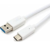 Кабель Bion usb 3.0 am to type-c cable (am/cm), 1 m, white. 5 гбит/с 3a 36w BXP-CCP-USB3-AMCM-1M-W