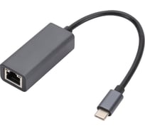 Переходник с кабелем Bion usb c - rj45, 1000мб/с, алюминиевый корпус, длинна кабеля 15 см, черный BXP-A-USBC-LAN-ALB