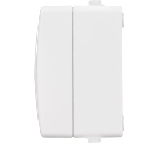Двойная горизонтальная розетка TDM ELECTRIC 2П+З, открытой установки, IP54, 16А, белая "Вуокса" SQ1803-1008