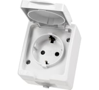 Розетка TDM ELECTRIC 2П+З, открытой установки, IP54, 16А, белая "Вуокса" SQ1803-1007