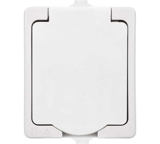 Розетка TDM ELECTRIC 2П+З, открытой установки, IP54, 16А, белая "Вуокса" SQ1803-1007