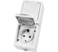 Розетка двойная TDM ELECTRIC белая 2П+З (вертикальная) открытой установки IP54 16А серия "Вуокса" SQ1803-1009