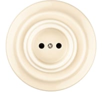 Фарфоровая розетка TDM ELECTRIC скрытой установки 2П 10А 250В сл. кость «Болонь» SQ1820-0321