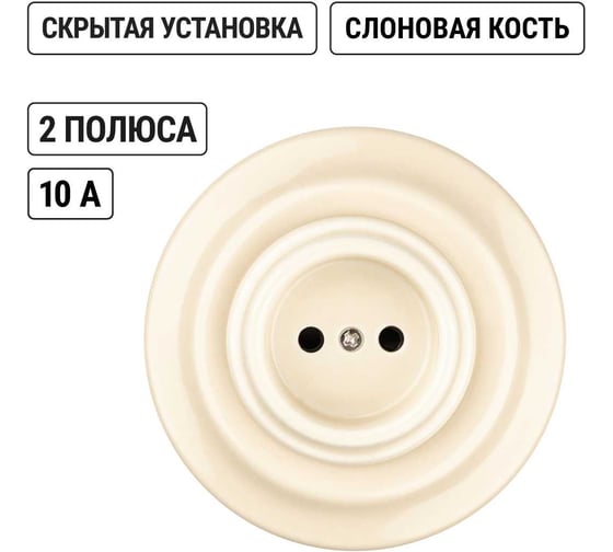 Фарфоровая розетка TDM ELECTRIC скрытой установки 2П 10А 250В сл. кость «Болонь» SQ1820-0321