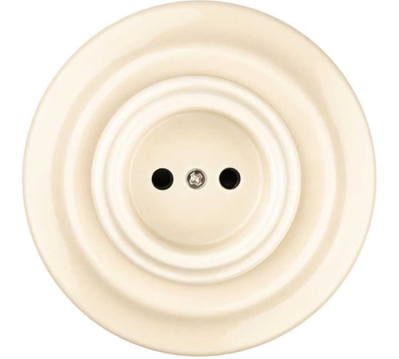 Фарфоровая розетка TDM ELECTRIC скрытой установки 2П 10А 250В сл. кость «Болонь» SQ1820-0321 1