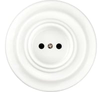 Фарфоровая розетка TDM ELECTRIC скрытой установки, 2П, 10А, 250В, белая «Болонь» SQ1820-0021