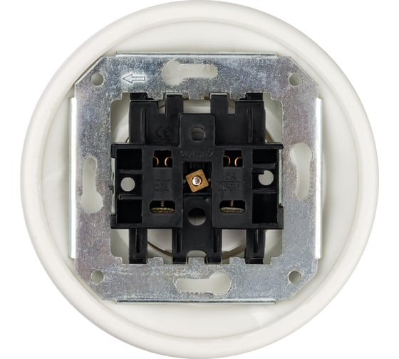 Фарфоровая розетка TDM ELECTRIC скрытой установки, 2П, 10А, 250В, белая «Болонь» SQ1820-0021