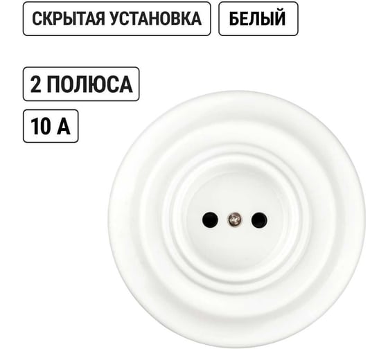 Фарфоровая розетка TDM ELECTRIC скрытой установки, 2П, 10А, 250В, белая «Болонь» SQ1820-0021