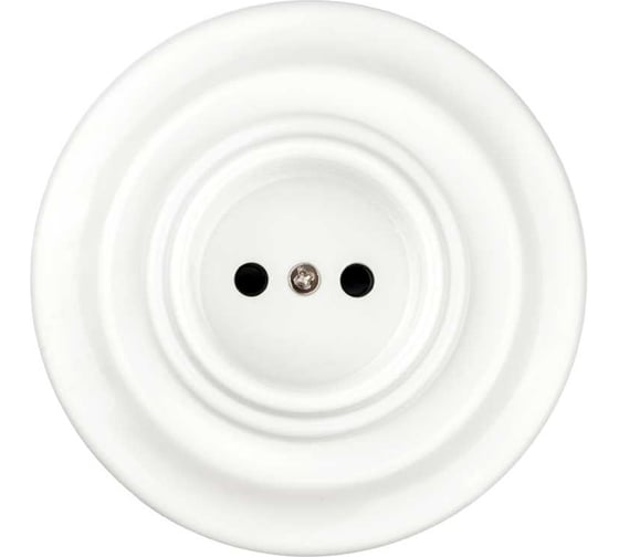 Фарфоровая розетка TDM ELECTRIC скрытой установки, 2П, 10А, 250В, белая «Болонь» SQ1820-0021 1