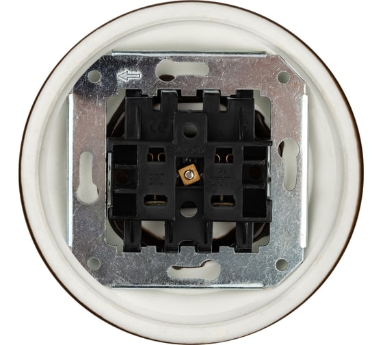 Фарфоровая розетка TDM ELECTRIC скрытой установки 2П, 10А, 250В, коричневая «Болонь» SQ1820-0421