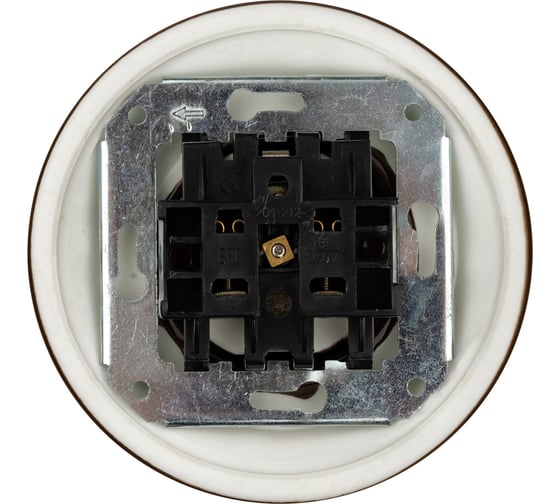 Фарфоровая розетка TDM ELECTRIC скрытой установки, 2П+З, 16А, 250В, коричневая «Болонь» SQ1820-0422