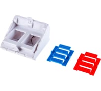 Вставка типа Mosaic NIKOMAX 45x45мм, 2 порта, белая NMC-PM2P-AF-WT