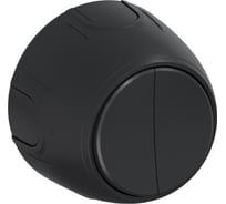 Накладной наружный двойной выключатель OneKeyElectro Rotondo, цвет черный. 7700855