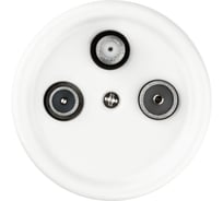 Проходная розетка TV+R+SAT TDM ELECTRIC белая «Болонь» SQ1820-0058