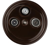 Проходная розетка TV+R+SAT TDM ELECTRIC коричневая «Болонь» SQ1820-0458