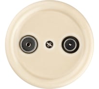 Оконечная розетка TV+R TDM ELECTRIC слоновая кость «Болонь» SQ1820-0355