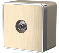 ТВ-розетка WERKEL оконечная Gallant (шампань рифленый) a041425