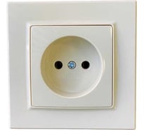 Розетка Econ Камелия 2п 10А 250В кремовая, K003C