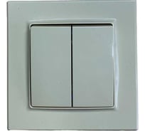 2 клавишный выключатель Econ Камелия 10А кремовый, K002C