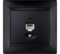 Компьютерная розетка RJ45 TDM ELECTRIC графит "Лама" SQ1815-0616