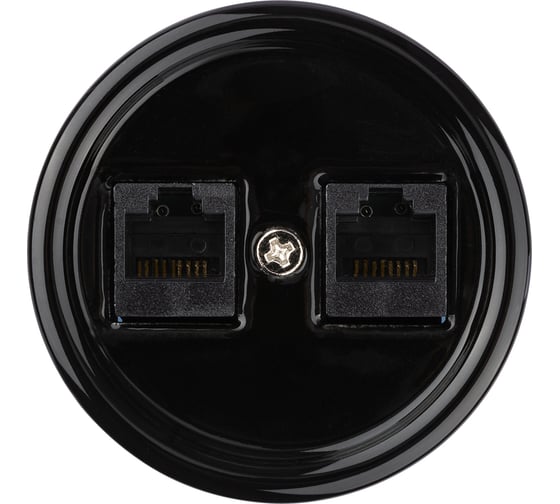 Компьютерная двойная розетка RJ45 TDM ELECTRIC черная «Болонь» SQ1820-0251