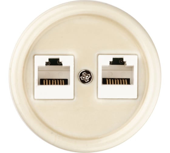 Компьютерная двойная розетка RJ45 TDM ELECTRIC сл. кость «Болонь» SQ1820-0351 1