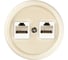 Компьютерная двойная розетка RJ45 TDM ELECTRIC сл. кость «Болонь» SQ1820-0351 1