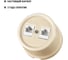 Телефонная двойная розетка RJ11 TDM ELECTRIC слоновая кость «Болонь» SQ1820-0350 4