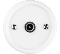 Оконечная TV розетка TDM ELECTRIC белая «Болонь» SQ1820-0053