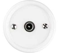 Проходная TV розетка TDM ELECTRIC белая «Болонь» SQ1820-0054