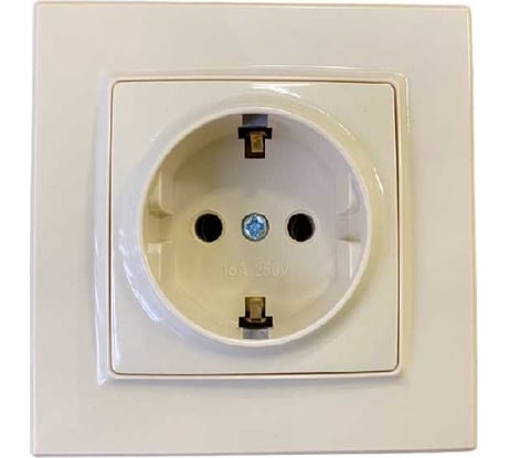 Розетка Econ Камелия 2пз 16А 250В кремовая, K004C