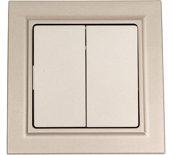 2-клавишный выключатель IEK Brite 10а в сборе вср10-2-0-брш шамп. BR-V20-0-10-K37-F