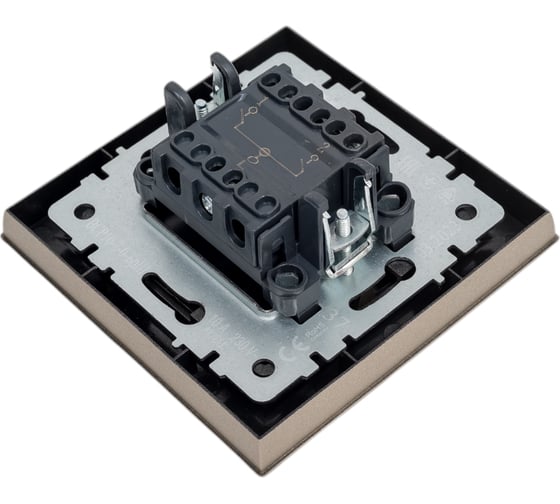2-клавишный выключатель IEK Brite 10а в сборе вср10-2-0-брш шамп. BR-V20-0-10-K37-F