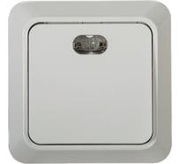 Выключатель IN HOME 1кл с подсветкой BOLLETO белый 7121 4680005959754