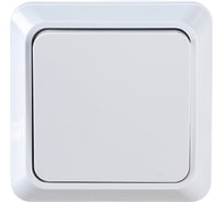 Выключатель IN HOME 1кл BOLLETO белый накл 7021 4680005959747