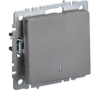 Проходной 1-клавишный выключатель IEK Brite с индикатором 10а вс10-1-7-брс сталь BR-V12-1-10-K46