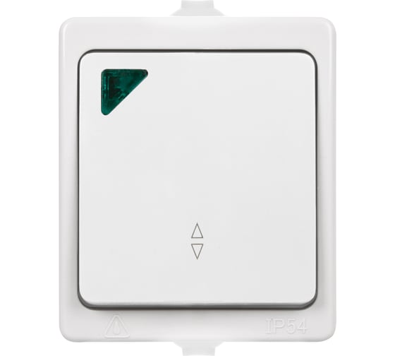 Переключатель на 2 направления TDM ELECTRIC 1-кл. с подсветкой открытой установки IP54 10А белый "Вуокса" SQ1803-1005