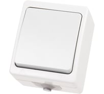 Переключатель белый на 2 направления 1-клавишный открытой установки TDM ELECTRIC IP54 10А, серия "Вуокса" SQ1803-1003