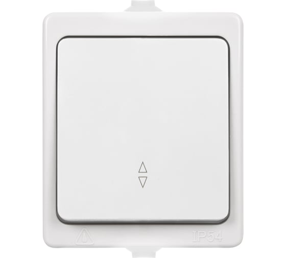 Переключатель на 2 направления TDM ELECTRIC 1-кл. открытой установки IP54 10А белый "Вуокса" SQ1803-1003
