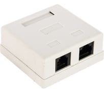 Розетка Cablexpert RJ45+RJ11 кат.5e UTP внешняя 2 порта, 110&Krone NA-TA/1