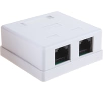 Розетка Cablexpert RJ-45 кат.5e внешняя 2 порта, 110&Krone NA214