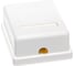 Розетка Cablexpert RJ-45 кат.5e внешняя 1 порт, 110&Krone NA212 5