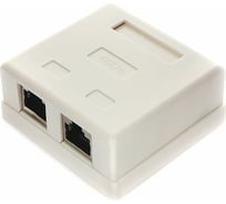 Розетка Cablexpert RJ-45 кат.STP 5e внешняя экранированная 2 портa, 110&Krone NAS214