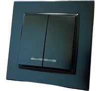 2 клавишный выключатель Econ камелия, с подсветкой, 10А, антрацит, K008A