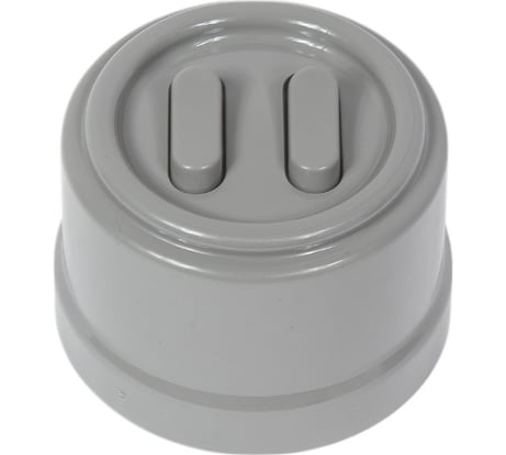 2-клавишный выключатель Bironi, пластик, цвет Титан (клавишный) B1-222-26