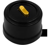 Клавишный выключатель Bironi 1-клавишный, ручка Золото B1-220-23-G